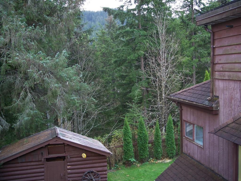 Tall Trees Bed & Breakfast Prince Rupert Værelse billede
